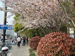 -杨高南路(地铁站)