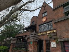 -Boxing Cat Brewery拳击猫精酿啤酒馆(永福店)