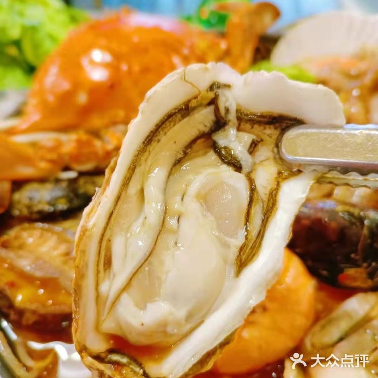 来自济州岛的海鲜，都在这家店咯