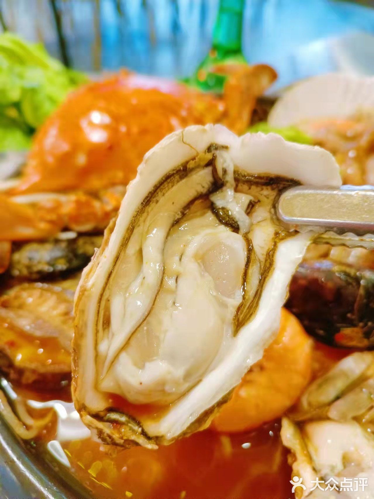 来自济州岛的海鲜，都在这家店咯