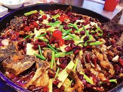 -老板恋上鱼(荣盛广场店)