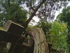 -金堂县云顶石城风景区