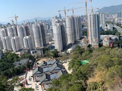 -金鸡山公园
