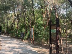 -西青郊野公园