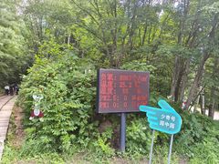 -五营红松林海景区