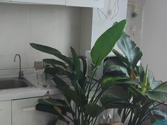 -天英星生命状态设计