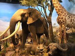 -陕西自然博物馆