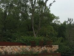 -昆山城市生态森林公园