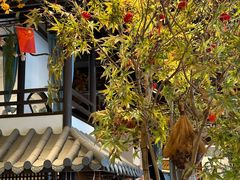 -鹅村长(世纪花园店)