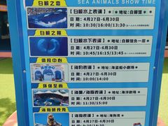 -秦皇岛乐岛海洋王国