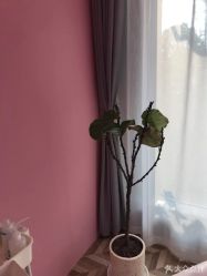 -优加东京秀烫染SALON