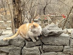 -井塘古村