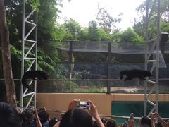 -清迈夜间动物园