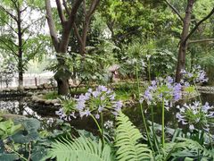 -成都市活水公园