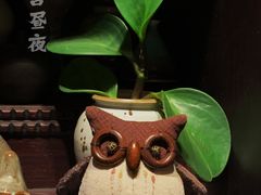 -不舍昼夜咖啡馆