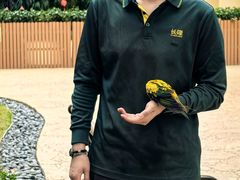 -熊猫自助餐厅.萌趣城堡(长隆熊猫酒店)