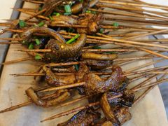 -晓靖轩烧烤(沙河风情店)