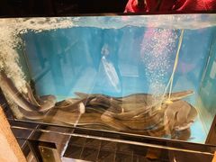 -味家烤肉烤鳗鱼牛排(西塔旗舰店)