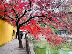 -兴福老面馆(寺路街店)