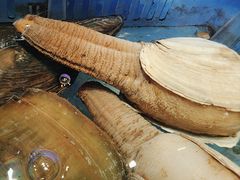 -阿伟海鲜楼·福建菜(延寿店)