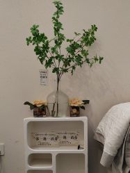 -禾壹净·素颜美问题肌肤修护中心