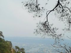 -缙云山景区