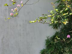 -丝绸小镇荻港古村