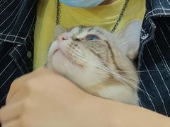 -白兔子密室(长寿路店)