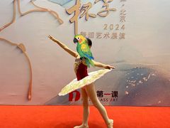 -星光舞蹈艺术中心•芭蕾舞•中国舞(太阳宫校区)