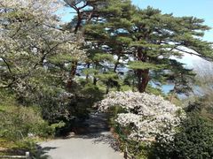 -松岛