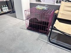 -伟伟宠物医院·CT影像中心·瑞派犬猫综合性门诊(汉口总院)