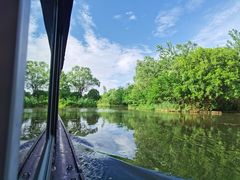 -溱湖国家湿地公园