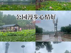 -裕华世纪公园