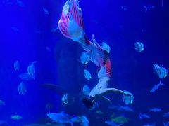 -多彩贵州城极地海洋世界