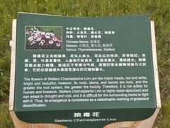 -塞罕坝国家级自然保护区