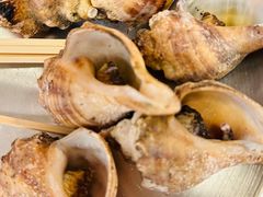 盐烤海螺-白仁仔· 活烤海鲜 宵夜(豫园店)