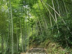 -千泷沟大瀑布旅游区