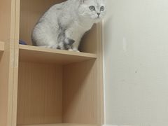 -谐和益家动物医院·免疫绝育·血液透析·宠保定点医院(高新伊藤分院)