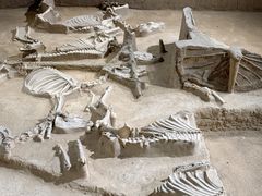 -洛阳周王城天子驾六博物馆