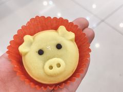 -集杰尚品海鲜烤肉火锅自助餐厅(经区九龙城店)