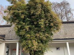 -毛泽东同志旧居