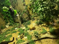 -酷嗒动物文化乐园(cutezoo西溪乐天城店)