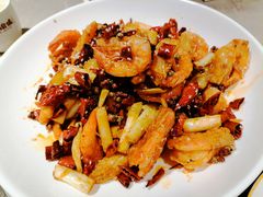 -新渝城·川菜·火锅(区庄店)