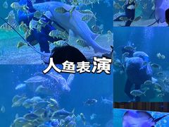 -左海海底世界