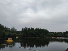 -东平国家森林公园
