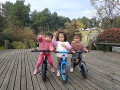 -铁山坪森林公园