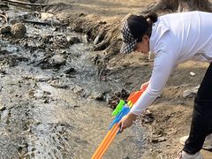 -白水寺森林公园