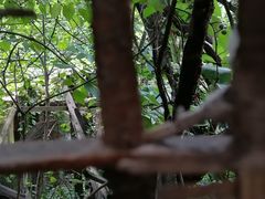 -书隐楼