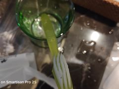 -太白山御龙湾温泉