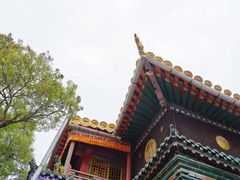 -塔尔寺